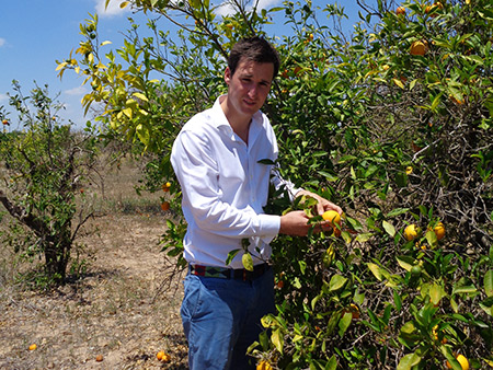 TPH-in-orange-grove juniper trade and wholesale botanicals