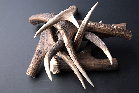 animal bones supplies for glue animal bones supplies for glue