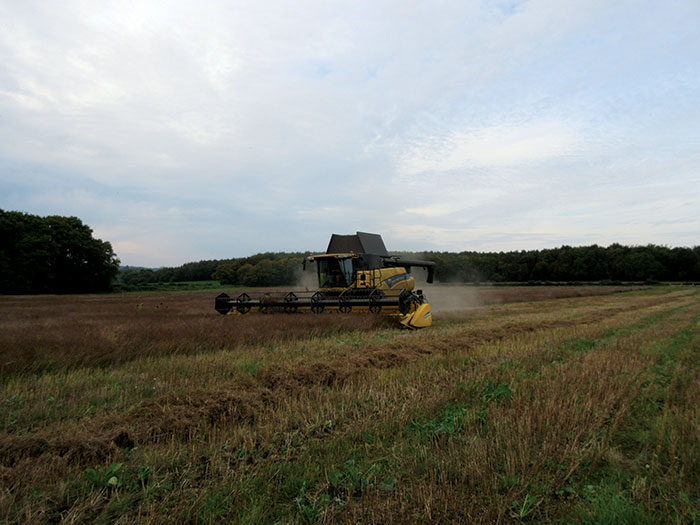 coriander harvester coriander harvester seprtember 2017