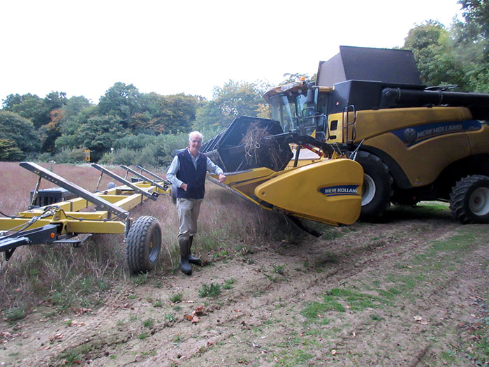 harvest the fields if coriander