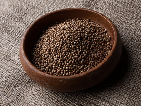 coriander seed supplier coriander seed supplier
