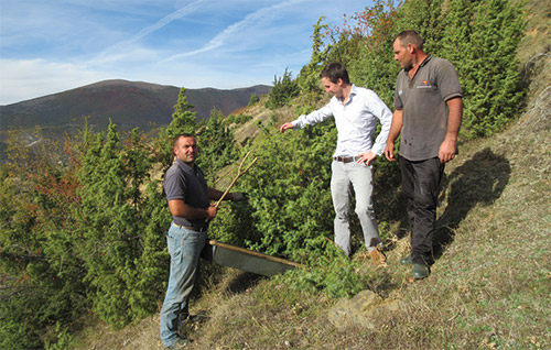 farmers in macedonia