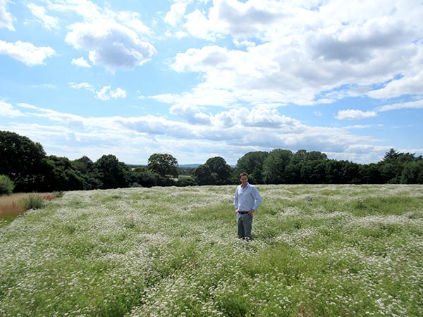gin botanical suppliers uk gin botanical suppliers uk