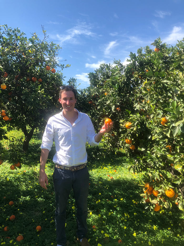 Growing oranges for peel