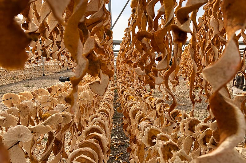 hanging botanical lemon peel hanging botanical lemon peel