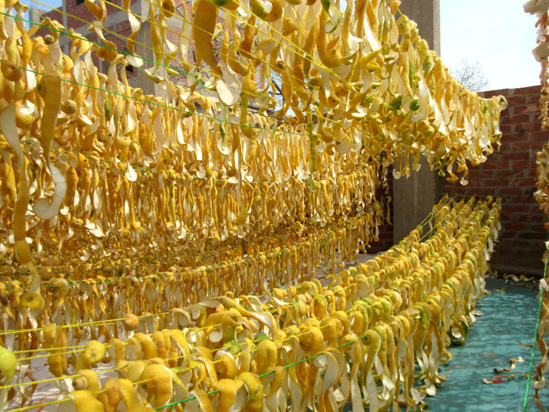 gin flavouring lemon peel drying gin flavouring lemon peel drying
