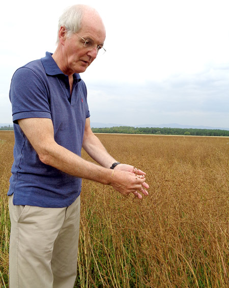 michael haughton food consultant michael haughton botanical and food consultant