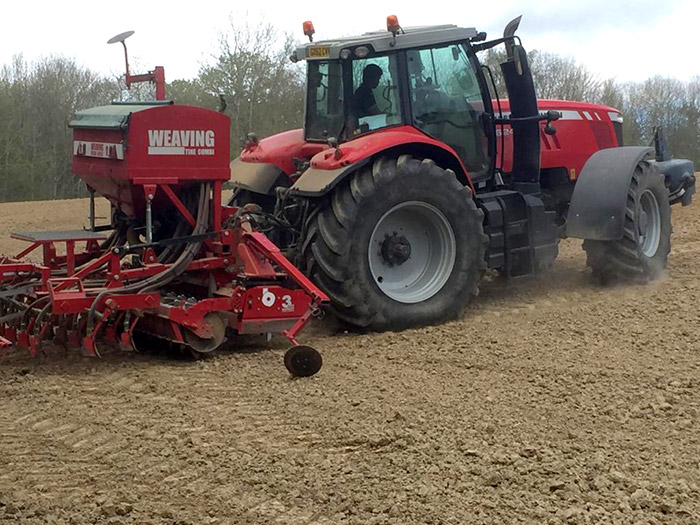 planting corriander crop in uk planting corriander crop in uk