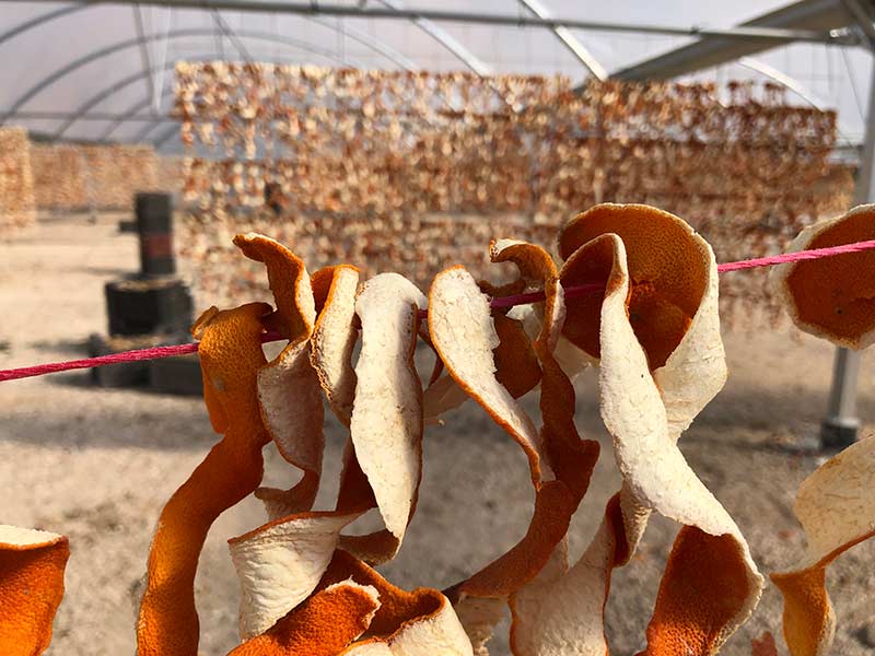 spanish citrus peel for making gin spanish citrus peel for making gin