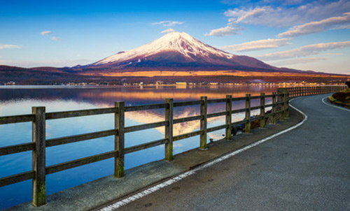 japanes gin market suppliers